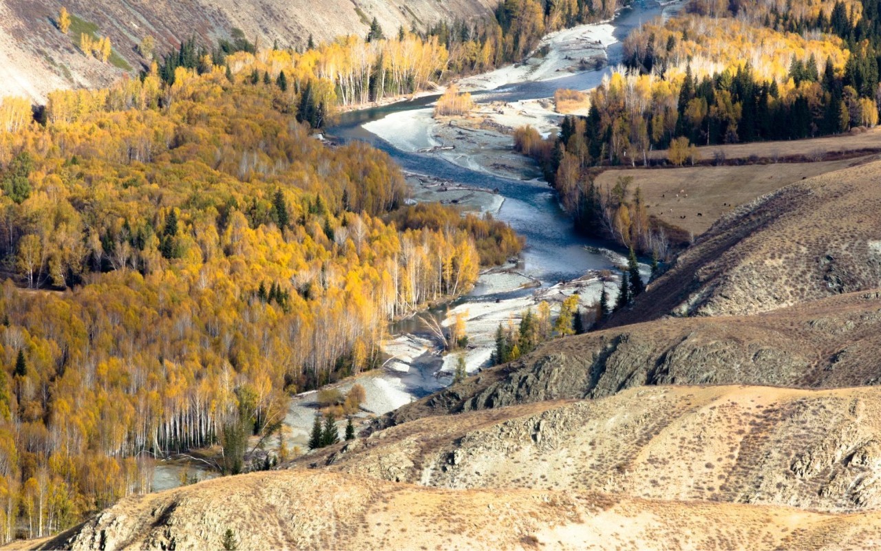 新疆，向尊敬的听众朋友们致意